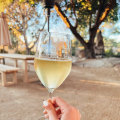 The Best Red Wines for Casual Drinking